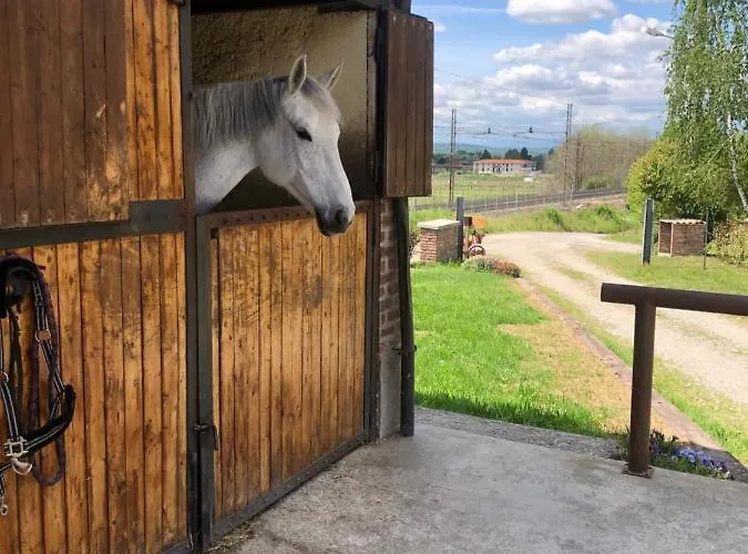 Bed & Breakfast Tenuta Legnate-lake Maggiore, Mxp, Leonardo Accademy 3*